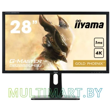 Монитор Iiyama G-MASTER GB2888UHSU-B1
